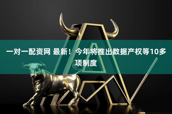 一对一配资网 最新！今年将推出数据产权等10多项制度